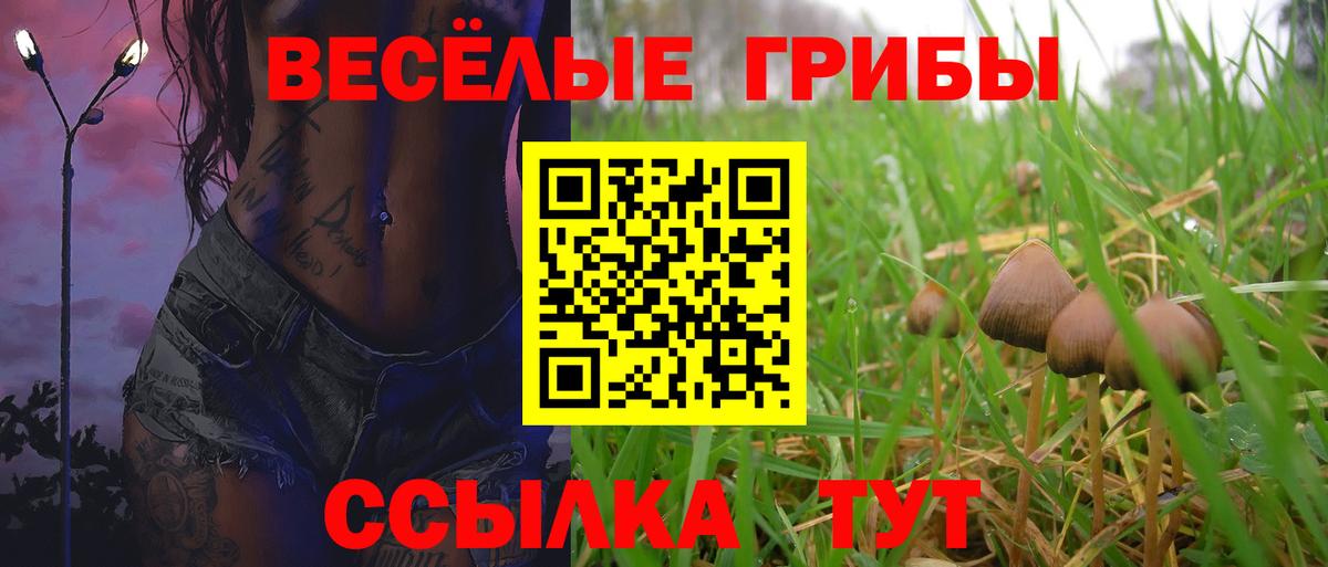 Псилоцибиновые грибы GOLDEN TEACHER  Вход с VPN  Борисоглебск  Галлюциногенные грибы GOLDEN TEACHER 